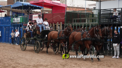 Fotografia /Galeria/2025/10/250533_161453/2_M1.jpg