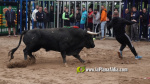 Les Alqueries celebra el 9 d'octubre amb exhibicions taurines