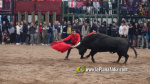 Les Alqueries celebra el 9 d'octubre amb exhibicions taurines