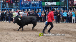 Les Alqueries celebra el 9 d'octubre amb exhibicions taurines