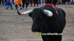 Les Alqueries celebra el 9 d'octubre amb exhibicions taurines