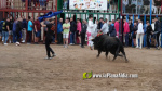 Les Alqueries celebra el 9 d'octubre amb exhibicions taurines