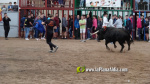 Les Alqueries celebra el 9 d'octubre amb exhibicions taurines