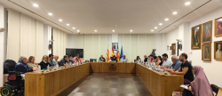El Consell de Participació Ciutadana de Vila-real elige la propuesta ganadora de los presupuestos participativos de 2025
