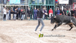 Les Alqueries tanca el cap?tol taur? de les festes de la Verge del Xiquet Perdut