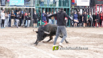 Les Alqueries tanca el cap?tol taur? de les festes de la Verge del Xiquet Perdut