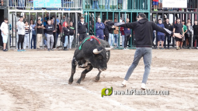 Les Alqueries cierra el captulo taurino de las fiestas de la Virgen del Nio Perdido
