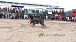 Les Alqueries tanca el cap?tol taur? de les festes de la Verge del Xiquet Perdut