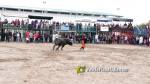 Les Alqueries tanca el cap?tol taur? de les festes de la Verge del Xiquet Perdut