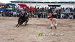 Les Alqueries tanca el cap?tol taur? de les festes de la Verge del Xiquet Perdut