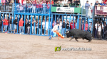 Les Alqueries tanca el cap?tol taur? de les festes de la Verge del Xiquet Perdut