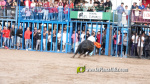 Les Alqueries tanca el cap?tol taur? de les festes de la Verge del Xiquet Perdut