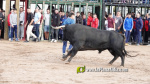 Les Alqueries tanca el cap?tol taur? de les festes de la Verge del Xiquet Perdut