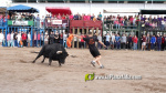 Les Alqueries tanca el cap?tol taur? de les festes de la Verge del Xiquet Perdut