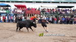 Les Alqueries tanca el cap?tol taur? de les festes de la Verge del Xiquet Perdut