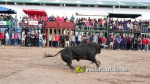 Les Alqueries tanca el cap?tol taur? de les festes de la Verge del Xiquet Perdut