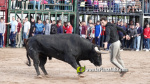Les Alqueries tanca el cap?tol taur? de les festes de la Verge del Xiquet Perdut