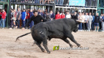 Les Alqueries tanca el cap?tol taur? de les festes de la Verge del Xiquet Perdut