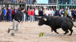 Les Alqueries tanca el cap?tol taur? de les festes de la Verge del Xiquet Perdut