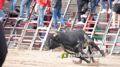 Fotografia /Galeria/2025/10/250611_161513/3_M1.jpg