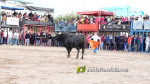 Les Alqueries tanca el cap?tol taur? de les festes de la Verge del Xiquet Perdut