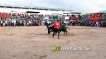 Les Alqueries tanca el cap?tol taur? de les festes de la Verge del Xiquet Perdut