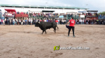 Les Alqueries tanca el cap?tol taur? de les festes de la Verge del Xiquet Perdut