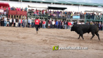 Les Alqueries tanca el cap?tol taur? de les festes de la Verge del Xiquet Perdut