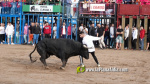 Les Alqueries tanca el cap?tol taur? de les festes de la Verge del Xiquet Perdut