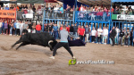 Les Alqueries tanca el cap?tol taur? de les festes de la Verge del Xiquet Perdut