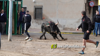 Fotografia /Galeria/2025/10/250611_161513/4_M1.jpg