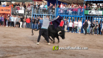 Les Alqueries tanca el cap?tol taur? de les festes de la Verge del Xiquet Perdut