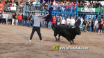 Les Alqueries tanca el cap?tol taur? de les festes de la Verge del Xiquet Perdut