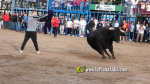 Les Alqueries tanca el cap?tol taur? de les festes de la Verge del Xiquet Perdut