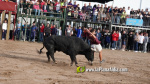 Les Alqueries tanca el cap?tol taur? de les festes de la Verge del Xiquet Perdut