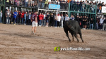 Les Alqueries tanca el cap?tol taur? de les festes de la Verge del Xiquet Perdut