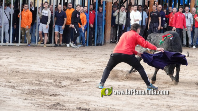 Fotografia /Galeria/2025/10/250611_161513/6_M1.jpg