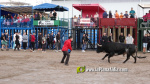 Fotografia /Galeria/2025/10/250611_161513/9_M1.jpg
