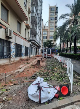 Compromís critica que Carrasco siga talando árboles en Castelló: 'Confunde la jardinería con la sostenibilidad'
