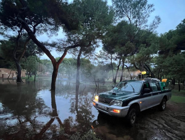 Castellón intensifica las actuaciones contra los mosquitos en el Grao