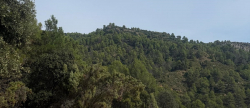 castillo-de-villamalefa-se-recupera-tras-la-dana-de-2024-con-mas-de-205-000-euros-de-diputacion-y-consell-y-sin-ayudas-del-gobierno-de-espa-a