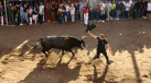 Fotografia /Galeria/2025/10/250967_161784/4_M1.jpg