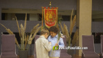 Proclamaci? Falla Sant Blai 2026