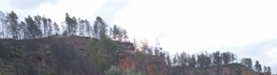 Montán aposta per l'oleoturisme amb la seua oliva autòctona com a protagonista