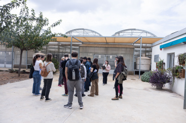 La Càtedra FACSA-UJI i la Fundació Síndrome de Down impulsen un programa formatiu per millorar l'ocupabilitat de persones amb discapacitat intel·lectual