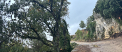 Trabajos de mejora en las pistas forestales para reforzar la prevención de incendios en Vilafranca