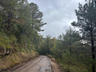 Fotografia /Galeria/2025/10/251166_161939/2_M1.jpg