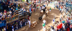 La Fira d'Onda reafirma su liderazgo taurino con el encierro de Guarismo 2 y los toros de Murteira Grave y Palha