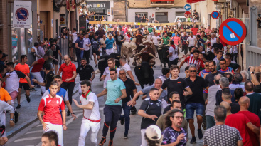 Fotografia /Galeria/2025/10/251313_162053/3_M1.jpg