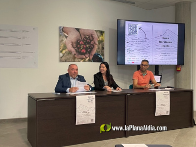 La Diputación de Castellón ensalza la labor diaria de los técnicos de desarrollo local de cada municipio en el avance global de la provincia